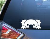 Peeping Koala Sticker Decal - Cute Funny JDM Australian Koala - Multiple Colors - 200mm x 90mm