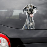 Great Dane Car Sticker - Peeking Window Vinyl Decal