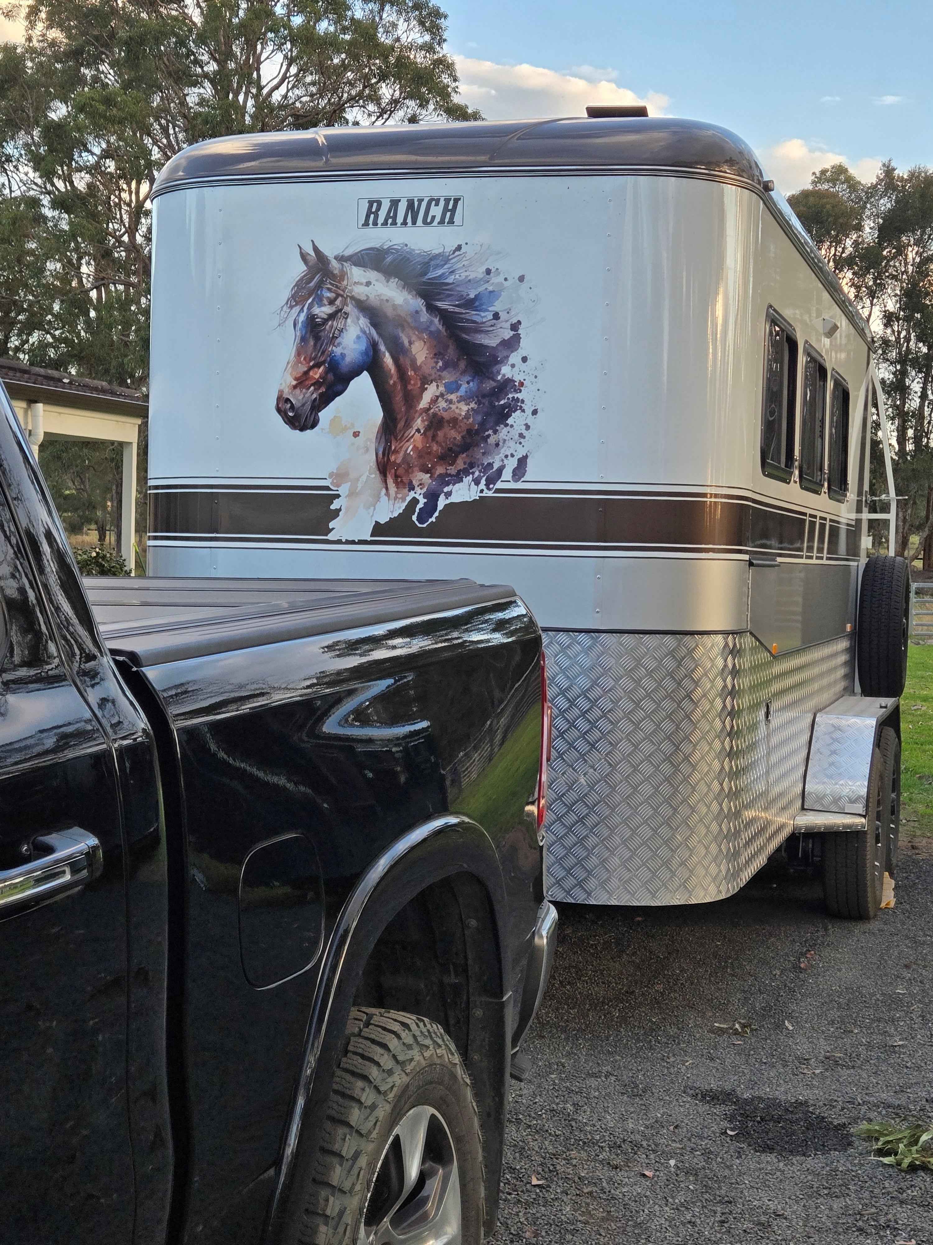 Horse Sticker for vehicle or horse float