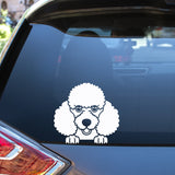Peeking peeping poodle car sticker decal window