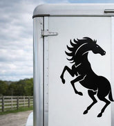 Standing Horse Decal – Large Set of 2
Vinyl Horse Stickers for Ute, 4WD, Horse Float & Truck