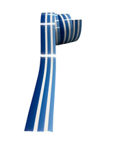 blue and white vehicle pinstripe sticker