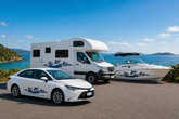 DOLPHIN STRIPES MOTORHOME DECAL | BOAT CARAVAN CAMPERVAN VINYL GRAPHIC AUSTRALIA