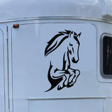 Rearing Horse Vinyl Decal Sticker, Equestrian 4WD Ute Truck Graphic, Horse Float Side or Window Decal 7 Year Vinyl