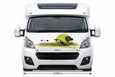 Mega Sticker Store Australian-themed vinyl decal on a white motorhome bonnet featuring a kangaroo and windmill design.