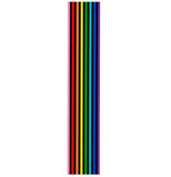 Mega Sticker Store rainbow pride pinstripe vinyl decal for vehicles with a glossy finish and vibrant vertical lines