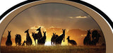 1.2m Kangaroo motorhome sticker decal Australian stripe - Mega Sticker Store