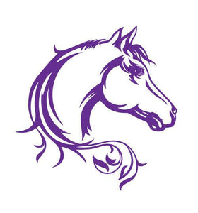 HORSE HEAD STICKER DECAL    440mm x 450mm FOR HORSE FLOAT , TRAILER , MOTORHOME