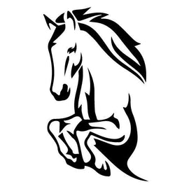LARGE HORSE DECAL 4WD HORSE FLOAT TRUCK CARAVAN STICKER QUALITY