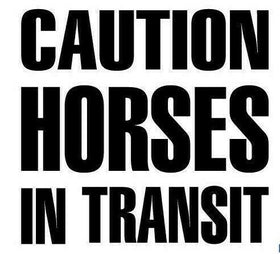 HORSES IN TRANSIT STICKER DECAL HORSE FLOAT WARNING STICKER