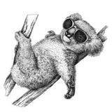 Adorable Koala Decal for Vehicles, Motorhomes, Trucks - Australian Wildlife Car Sticker