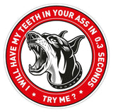 Angry Doberman Warning Dog Sticker, Funny Car Warning Decal, Dog On Board Printed Vinyl Sticker