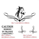 Horse float decal caution and scroll pinstripe sticker