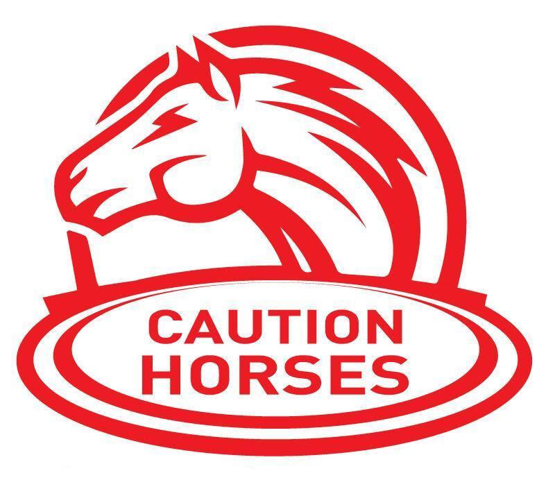 Warning Caution horse decal for horse float