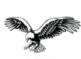 Eagle sticker decal in black and white for vehicle motorhome, wd , car
