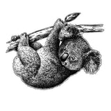 Hanging Koala on branch Australian sticker decal for vehicle, motorhome, sign, 4x4 - Mega Sticker Store