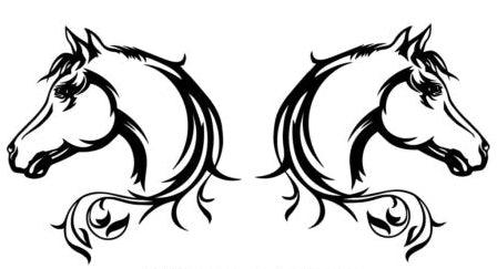 Horse Head Decals vehicle horse float sticker vinyl