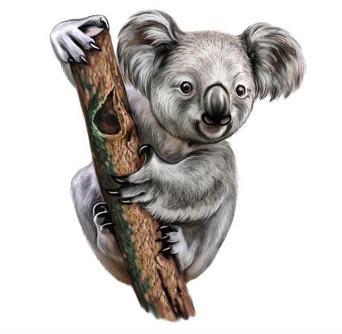 Cute Koala sticker for vehicle, motorhome, truck - Mega Sticker Store