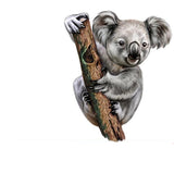 Cute Koala sticker for vehicle, motorhome, truck - Mega Sticker Store