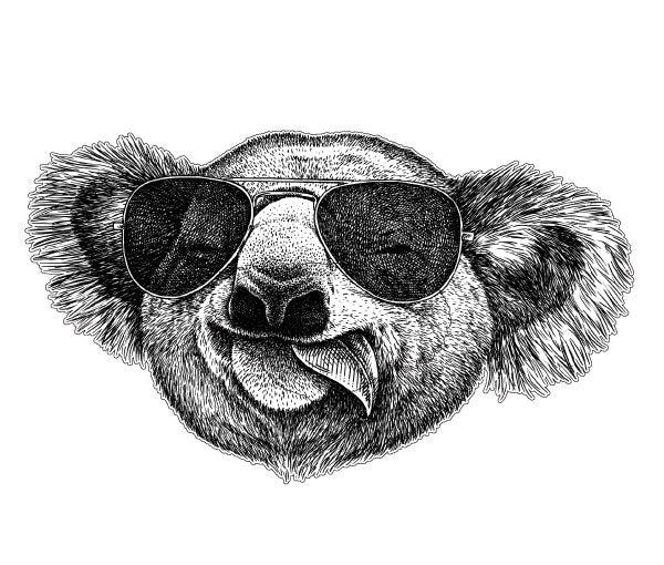 Large Koala Vinyl Sticker Decal, Funny Australian Koala for Cars Motorhomes Trucks Windows