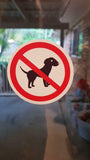 No dogs warning sticker sign vinyl decal 6 pack Sticker Store
