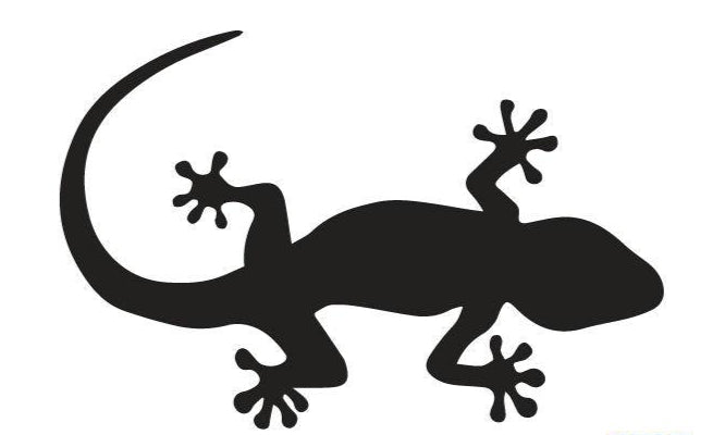 black gecko car sticker 140mm