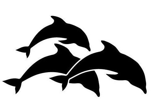 dolphins decal car stickers popular boat rv campervan vehicle