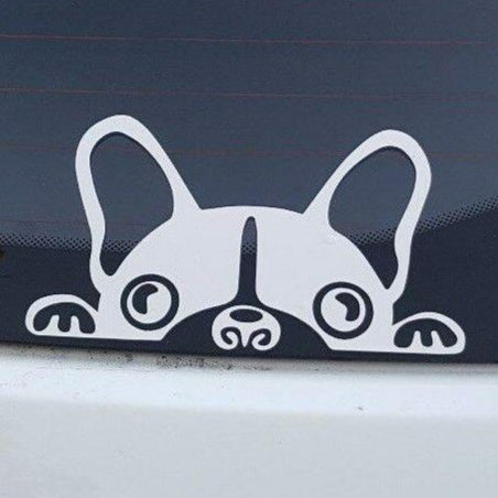 peeping pug dog car sticker decal