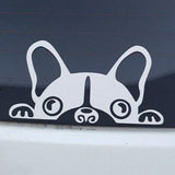 peeping pug dog car sticker decal