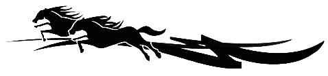 Horsefloat Pinstripe Decal Single Colour (set of 2)