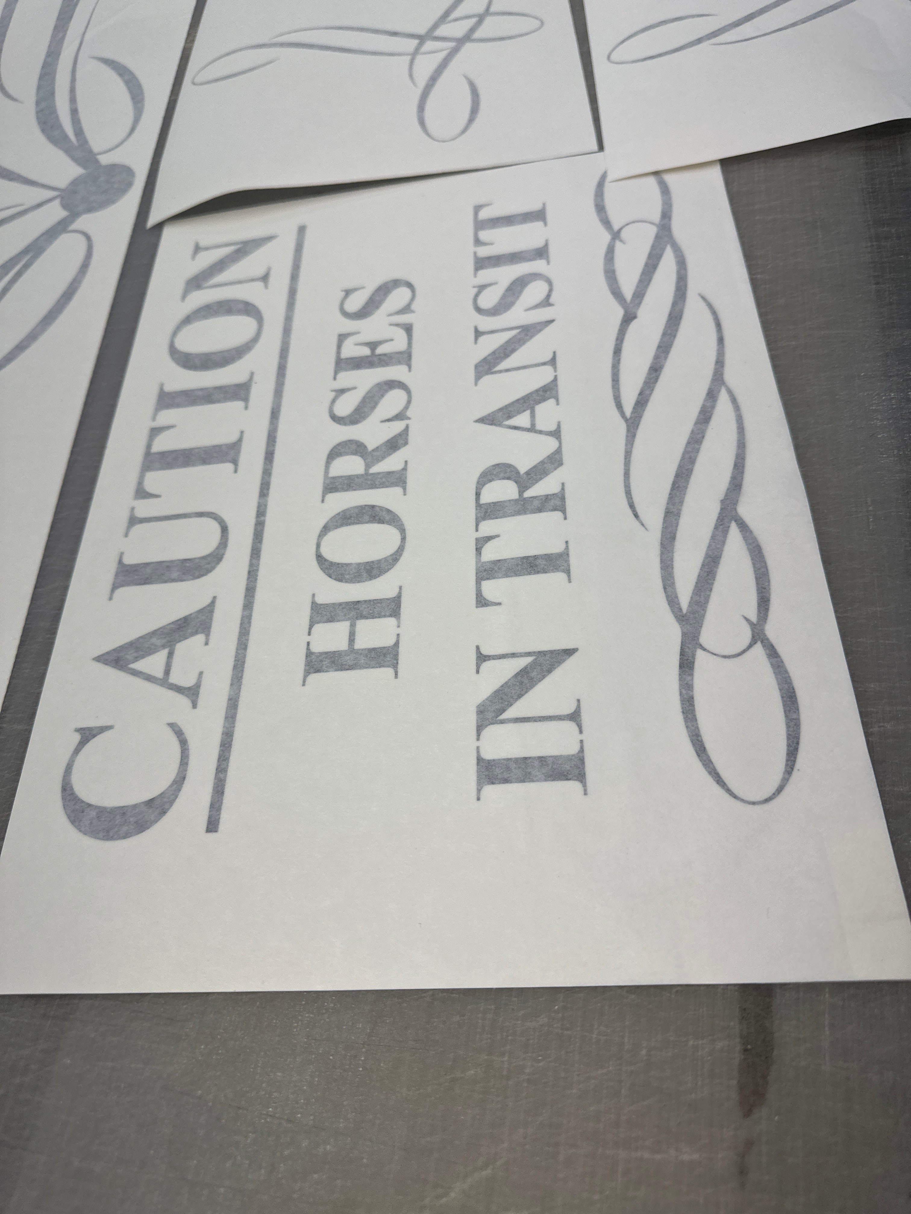 Vehicle Decal Horse float scroll stickers, caution horse sticker and horse head set