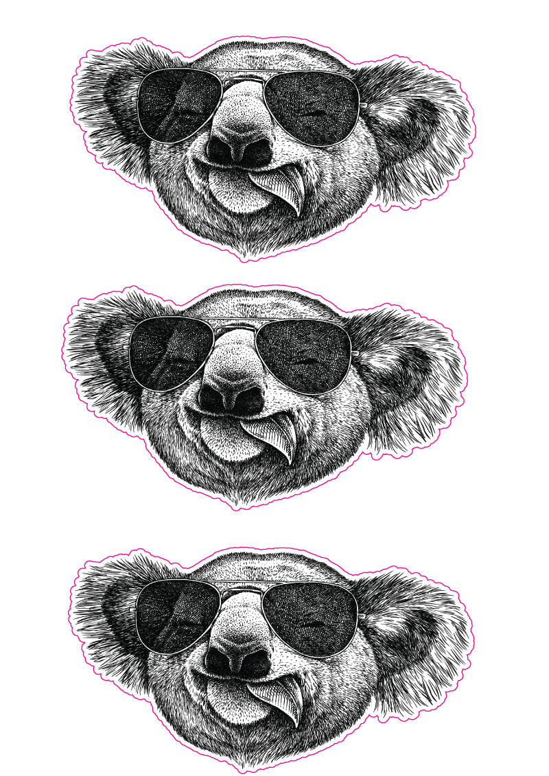 Cool Koala Sticker Decal for Caravan Motorhome Car Truck RV Australia
