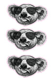 Cool Koala Sticker Decal for Caravan Motorhome Car Truck RV Australia