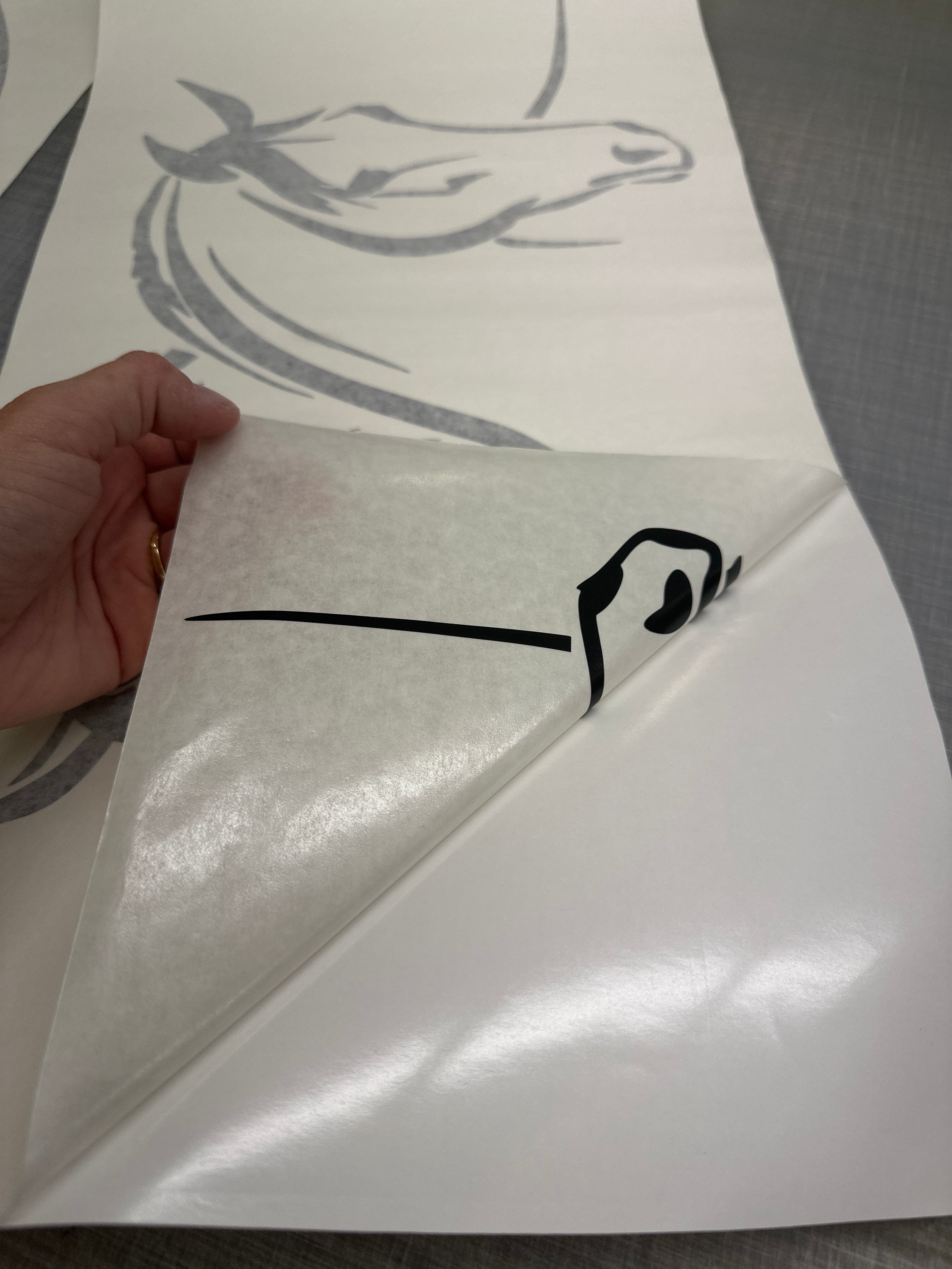 Horses Heads Horses on Board Horse Float Decals for Horse Trailer truck stickers