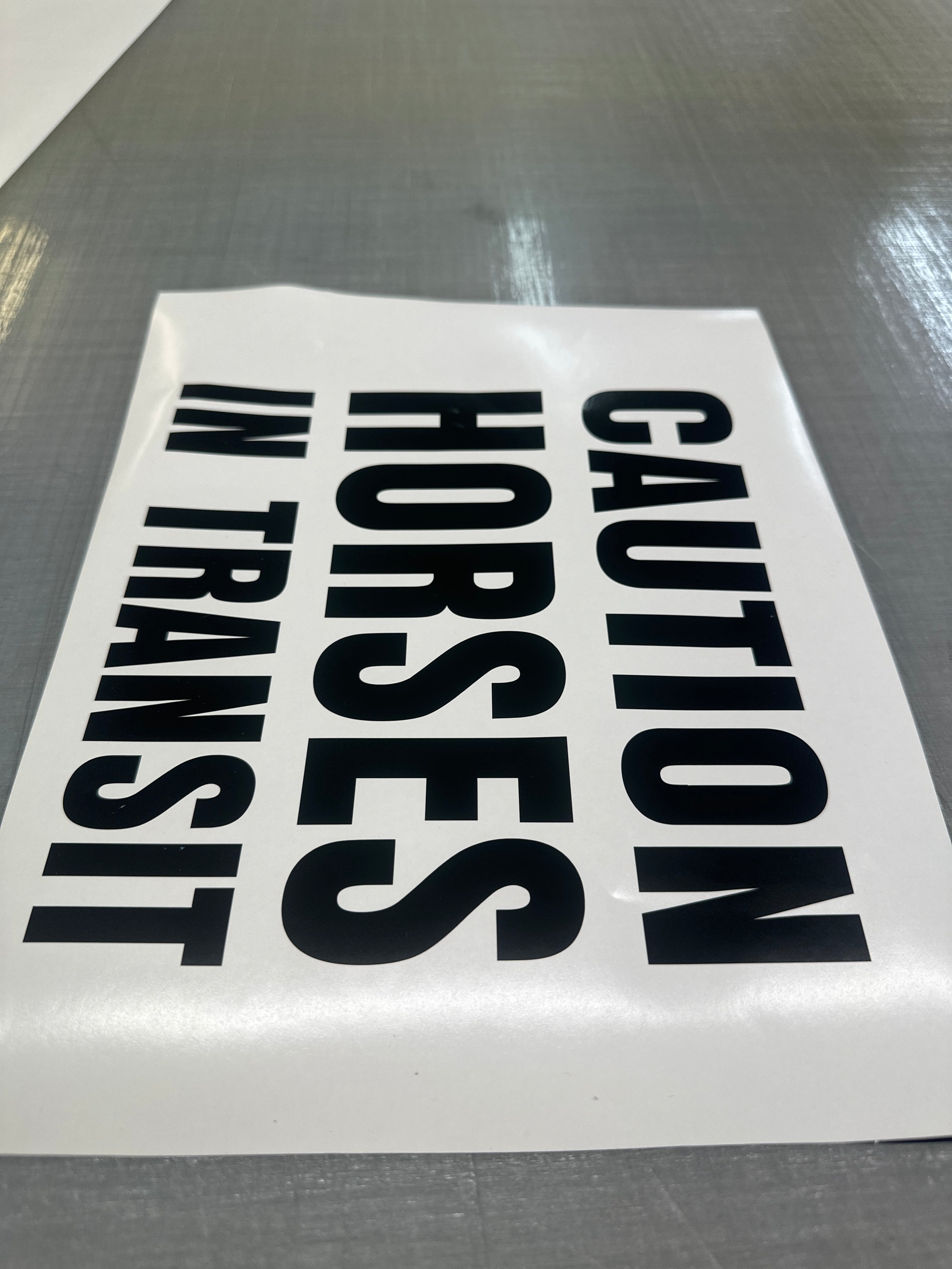 300mm x 285mm Horses in Transit Sticker Decal Horse Float Warning Sticker