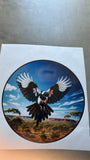 flying swooping Magpie vehicle sticker   landscape  decal car truck trailer  motorhome camper 3a
