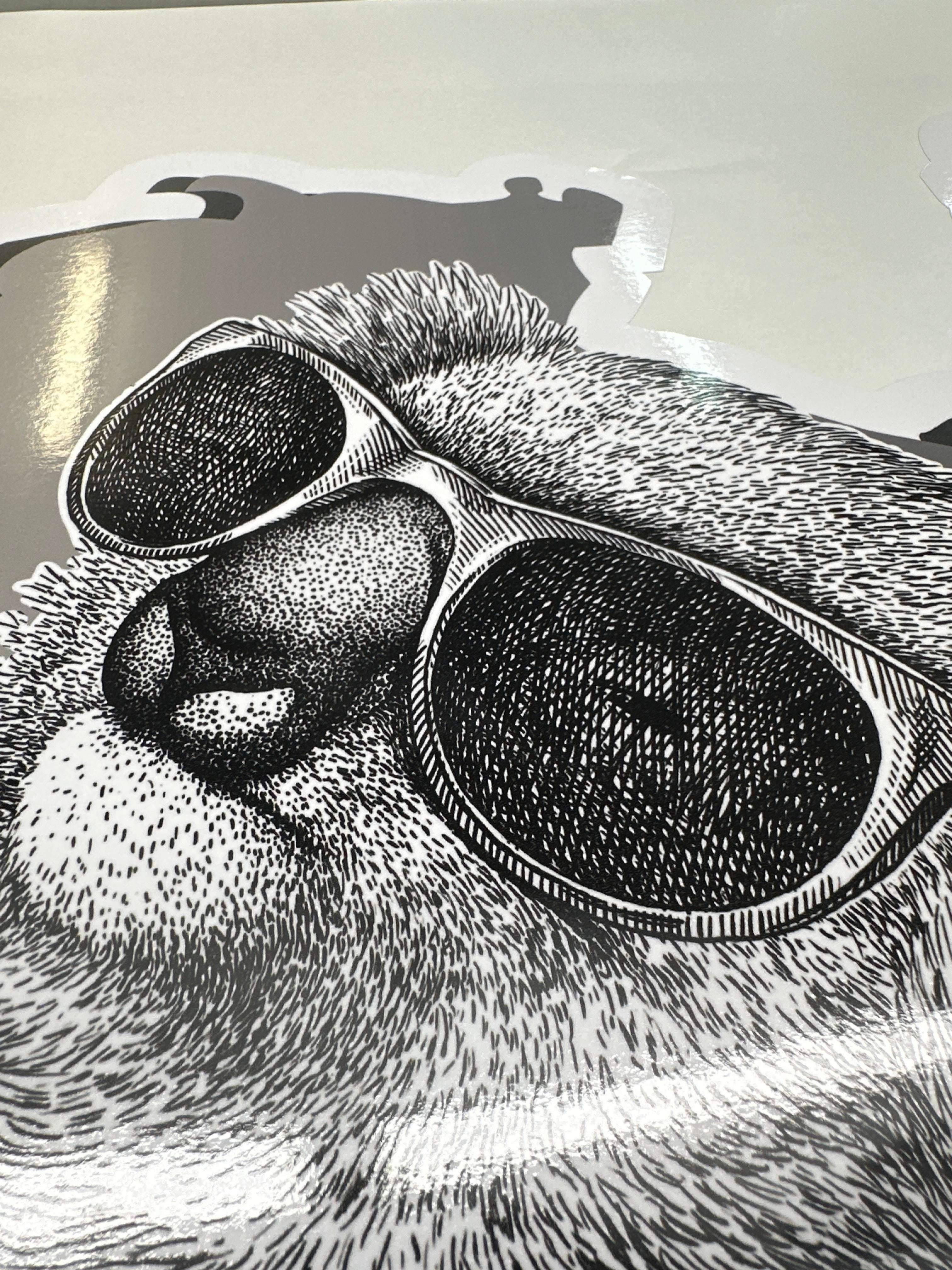 Koala Australian Map sticker decal Motorhome, vehicle, camper , truck, van Living the dream