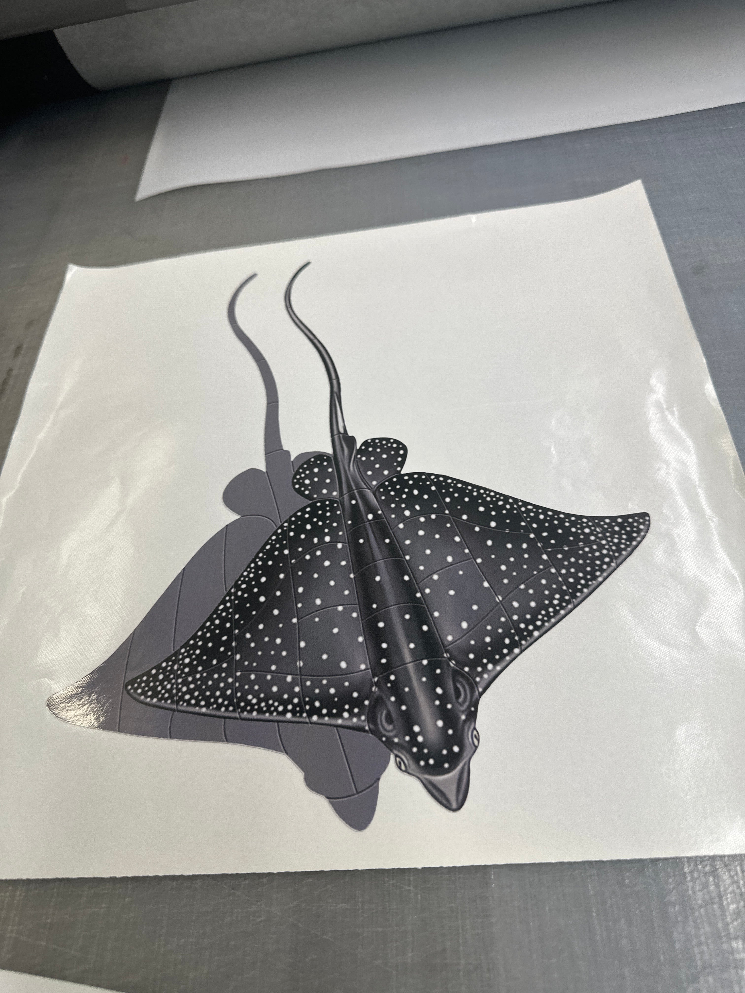 Eagle Ray  Decal Sticker for vehicles, boat , motorhome, truck, trailer, car sticker