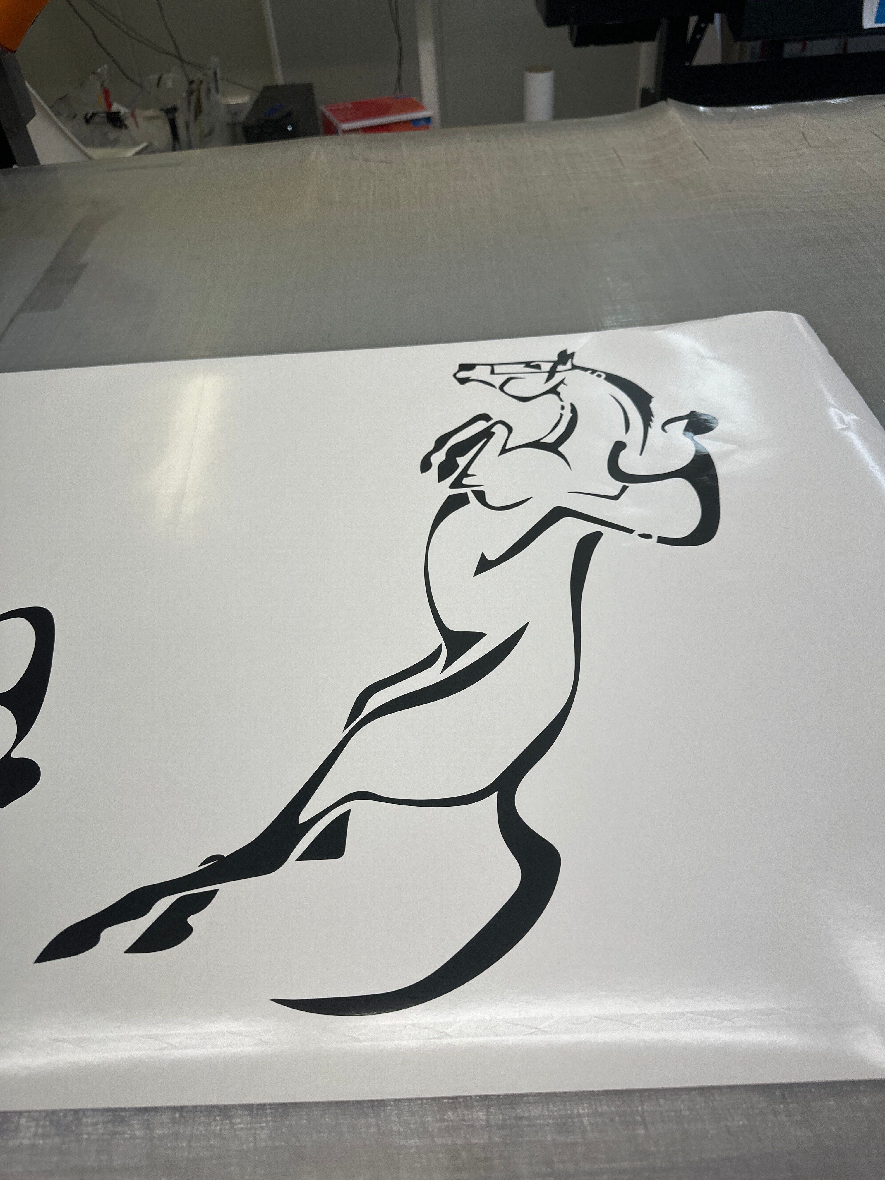 RACING HORSE JUMPING DECAL POPULAR HORSE FLOAT TRAILER STICKERS 002