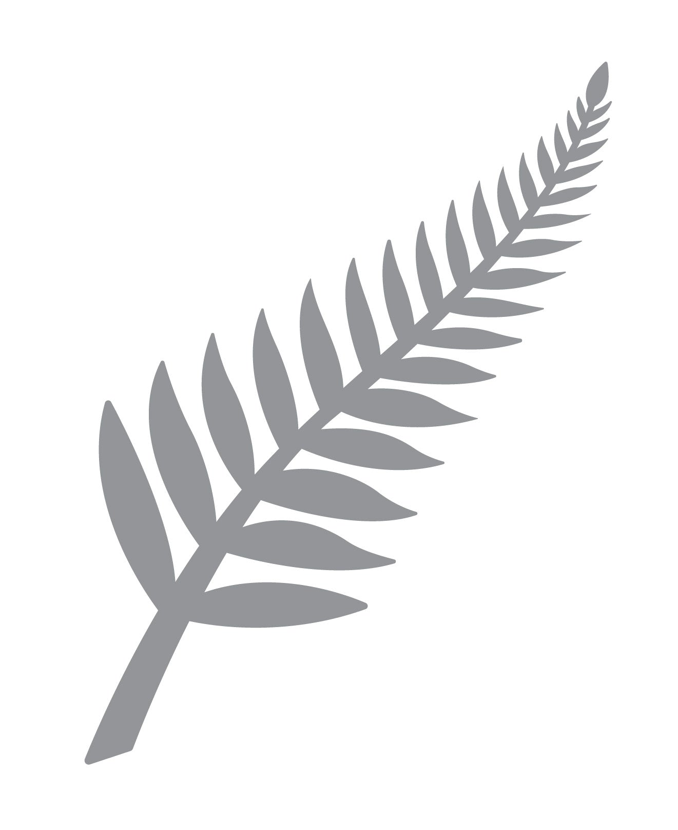 60cm Silver fern car sticker decal vehicle sticker motorhome window ute 