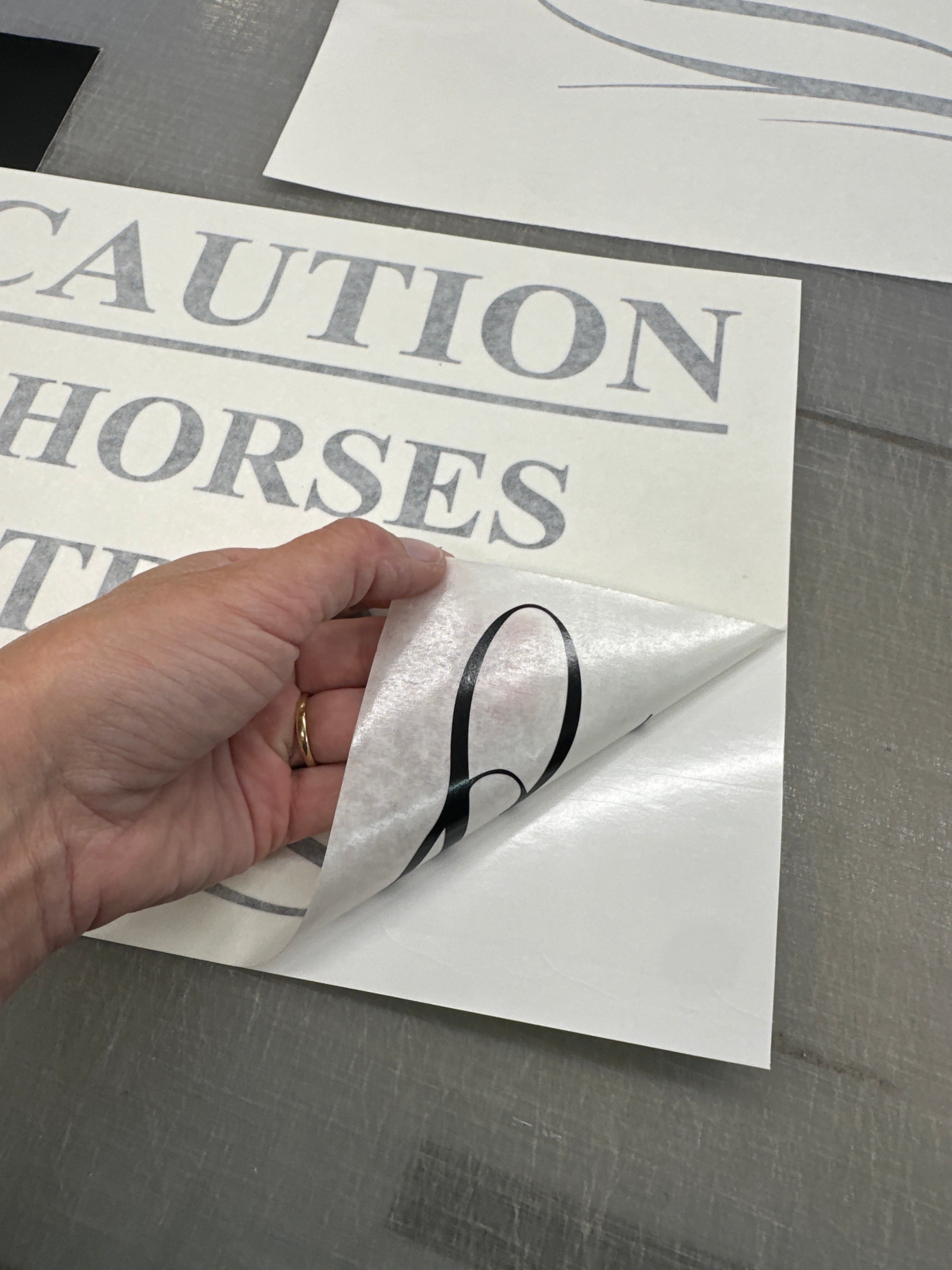 Vehicle Decal Horse float scroll stickers, caution horse sticker and horse head set