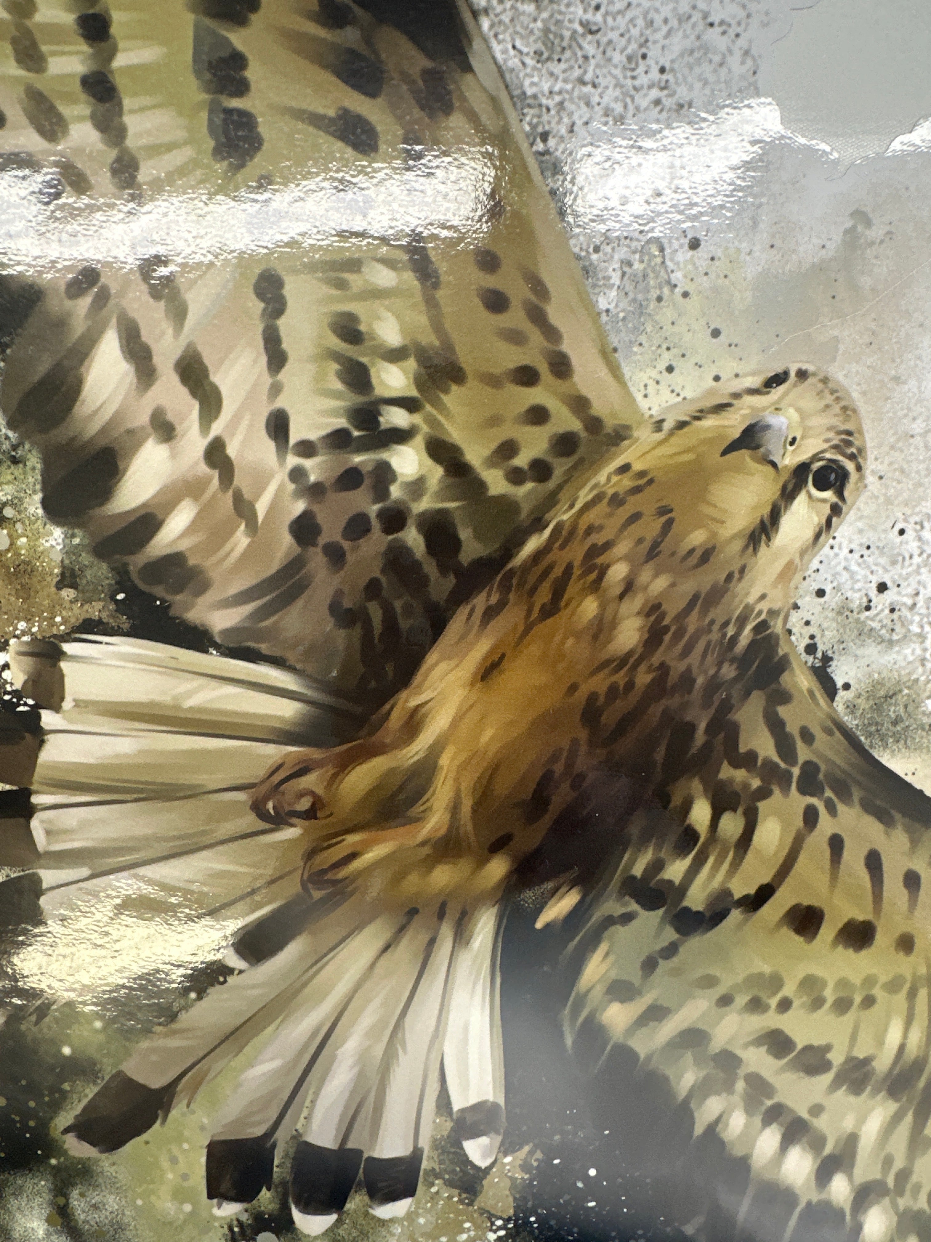 Flying Falcon sticker decal RV Motorhome, 4X4, vehicle,