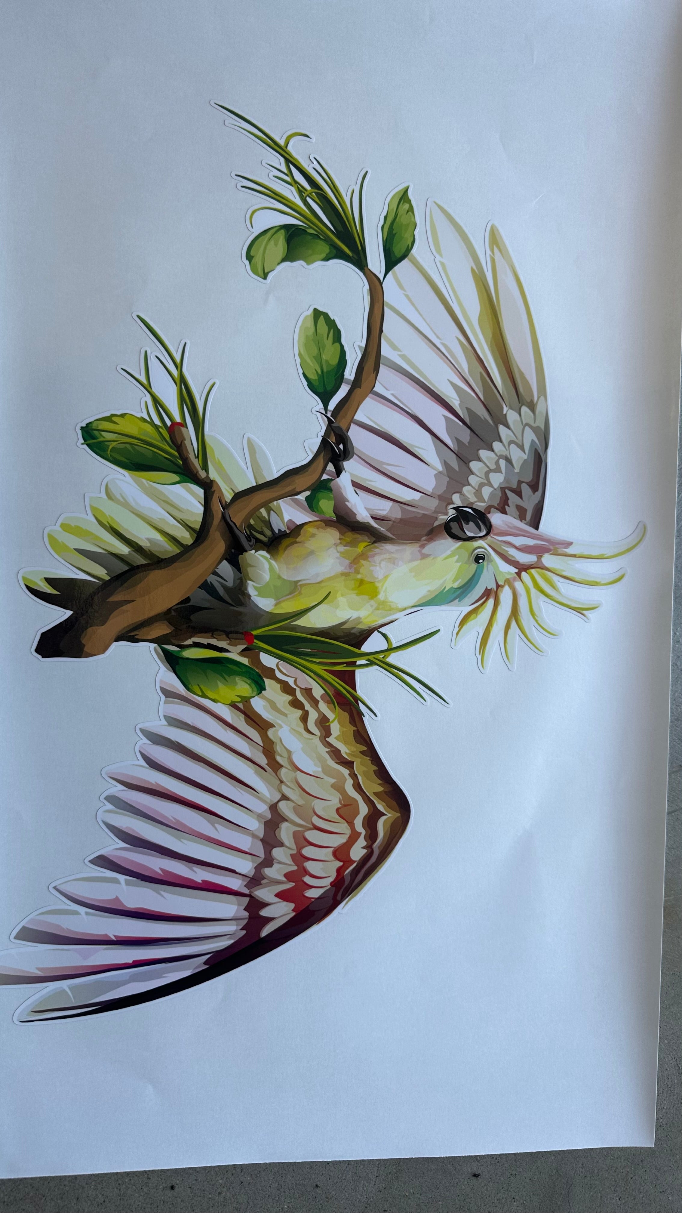 White Cockatoo Sticker Decal for Car, Motorhome, Window, Truck, sign