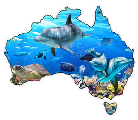 Australian map dolphin turtle coral reef Vehicle sticker decal camper motorhome trailer truck large