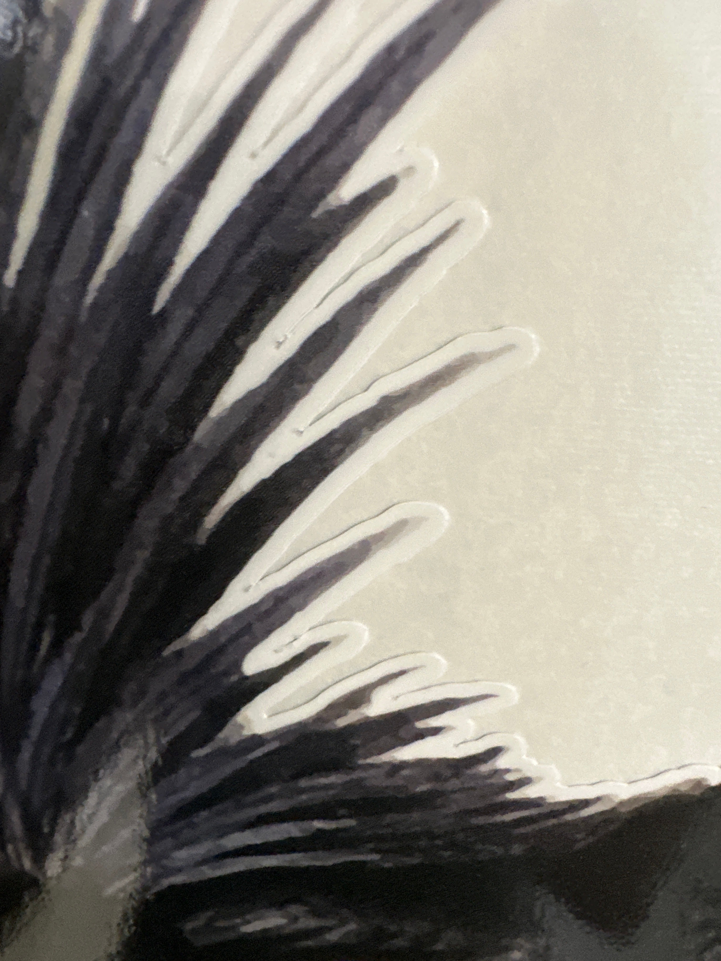 Australian Cockatoo Car Decal | Parrot Sticker for Vehicle, Motorhome, Truck | Wildlife Decoration