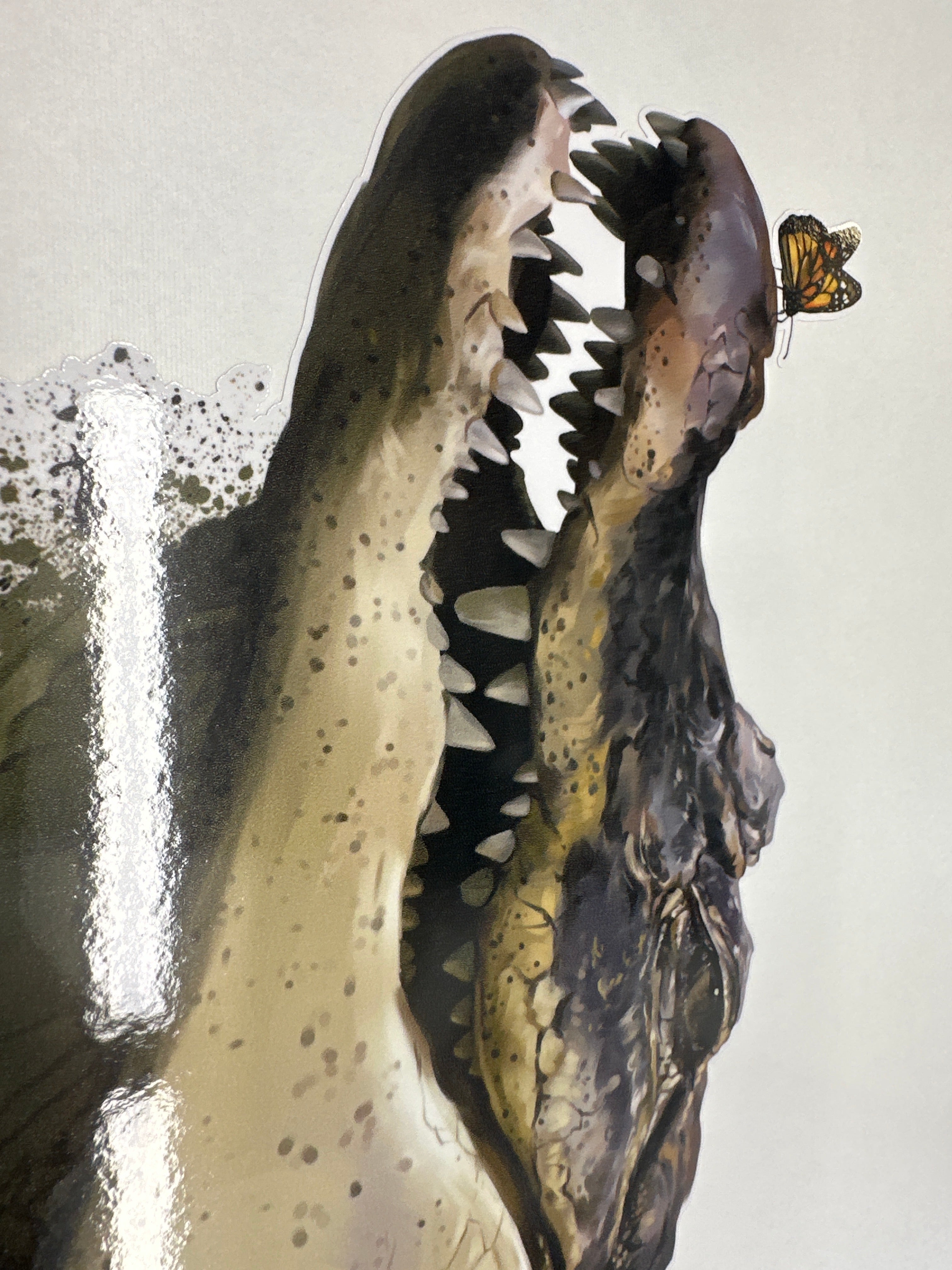 Crocodile sticker decal for car , ute, motorhome truck , window, boat, truck