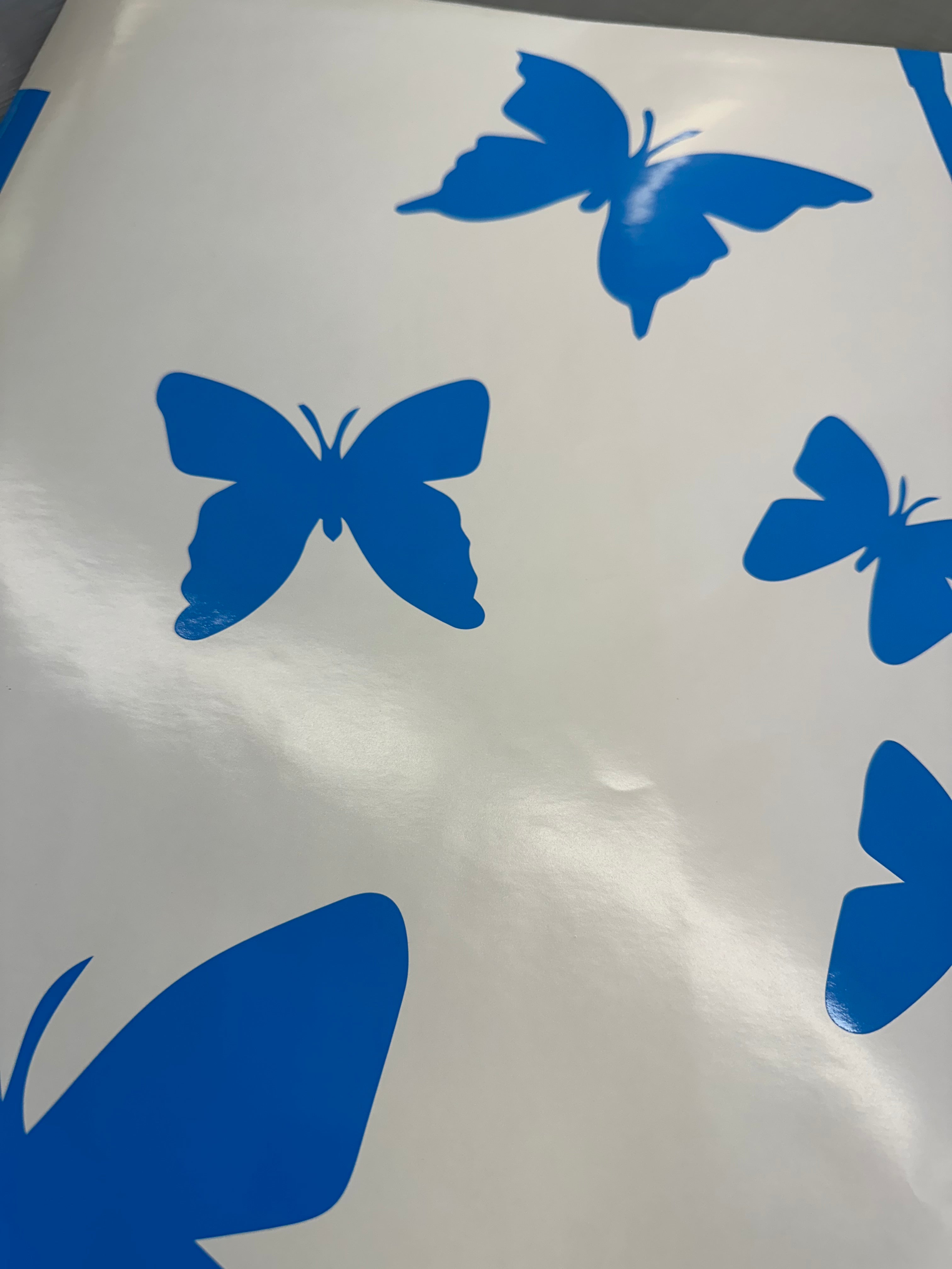 Glass Pool Fence Safety Decals Butterflies, window decals