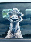 Emu car sticker decal vehicle or window Australian animal peeking peeping