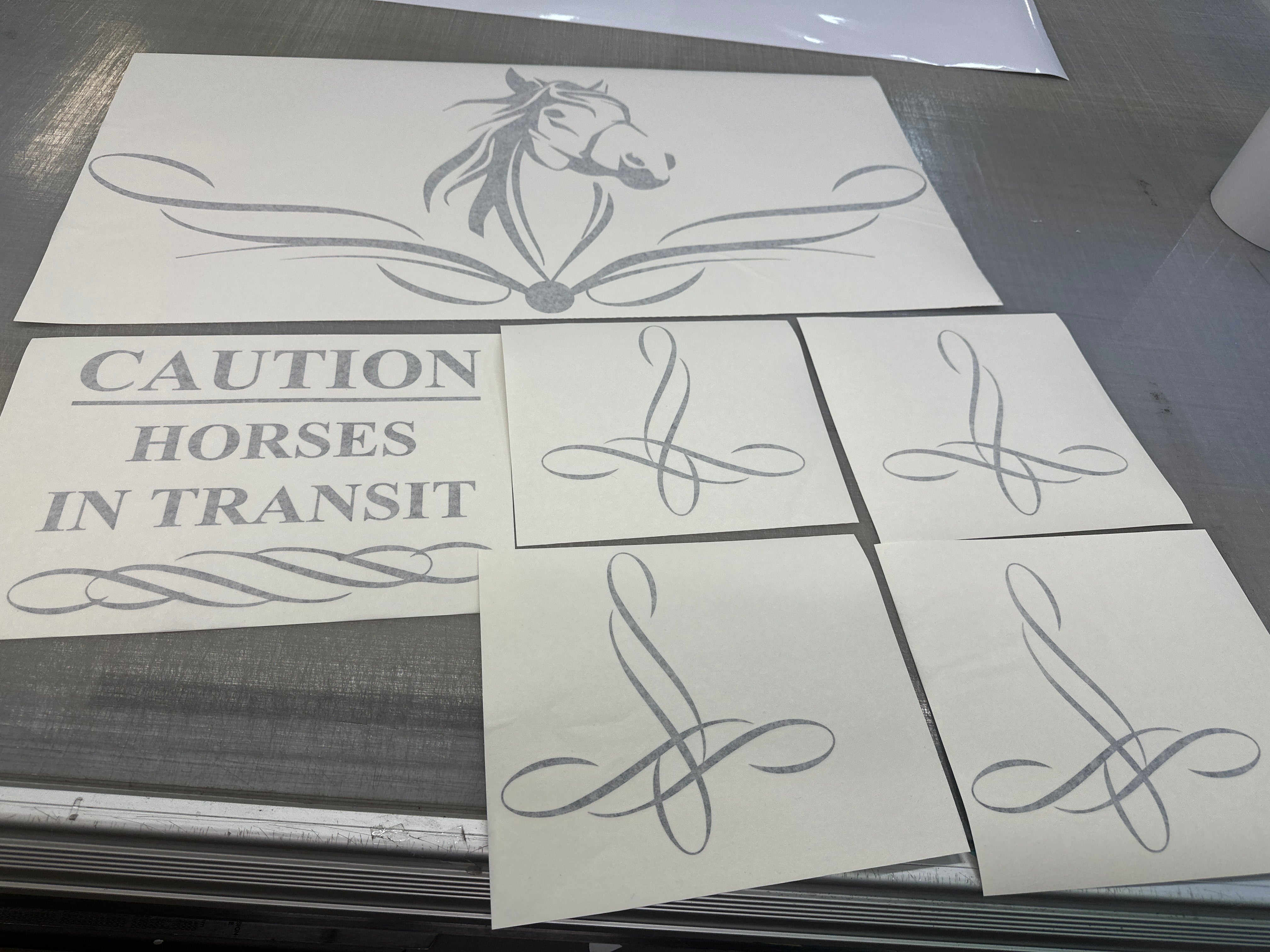 Horses in Transit Vinyl Decal Set for Horse Floats, Trailers and Trucks