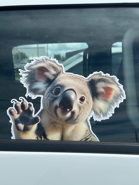 Koala Car Sticker Decal, Funny Australian Animal Peeking Window Sticker for Vehicle Campervan or Motorhome
